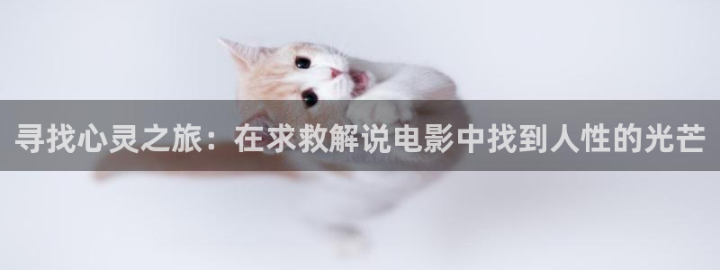 电影在线观看 青苹果影院