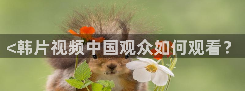yy6090青苹果新视觉