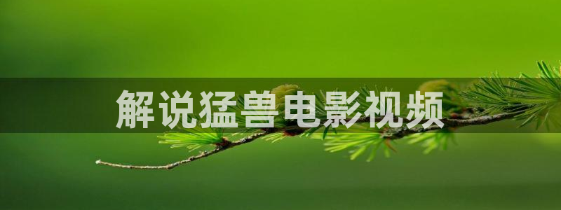 新闻图片