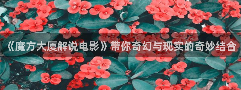 青苹果影院私人