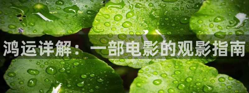 448青苹果影院