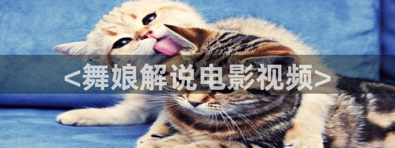青苹果卫视