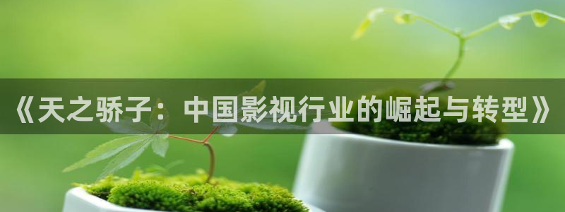 yy48青苹果乐园免费播放电视剧