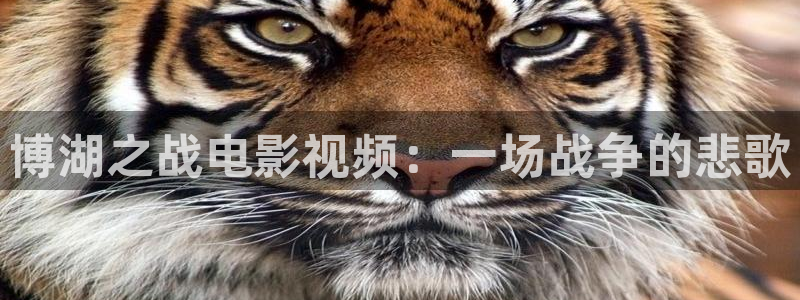 青苹果乐园电视剧免费观看