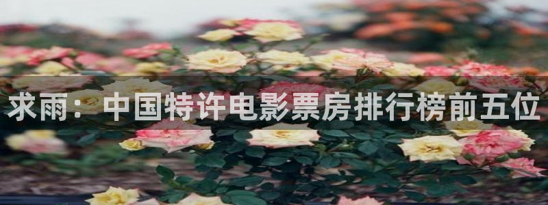 青苹果影院4080