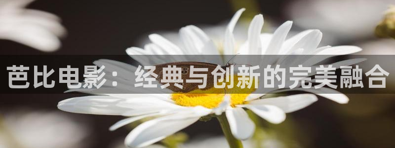 青苹果影院在线网站