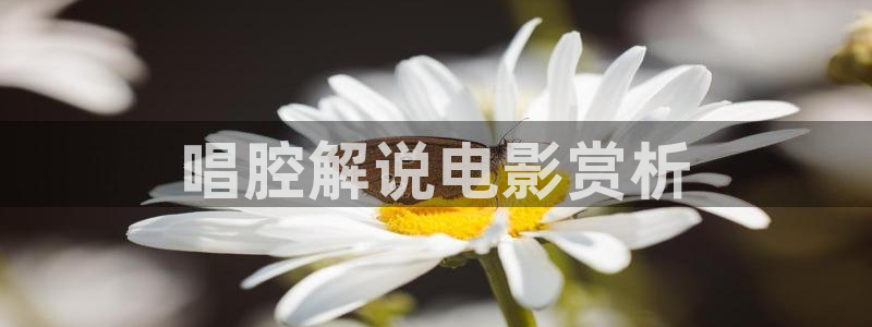 青苹果电影大全