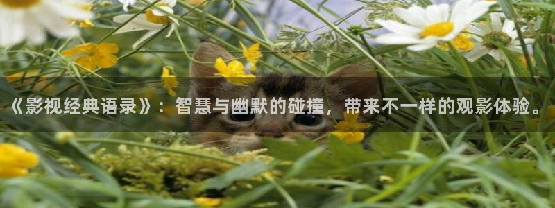 yy7080青苹果影院