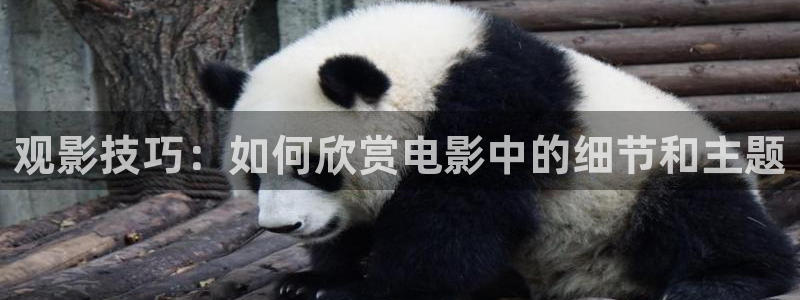 yy6090青苹果私人影院