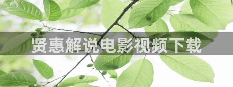 青苹果影院yy6099