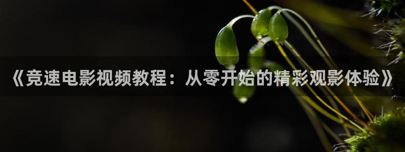 yy4408青苹果影院高清